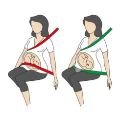 BeSafe Pregnant - veiligheid Online