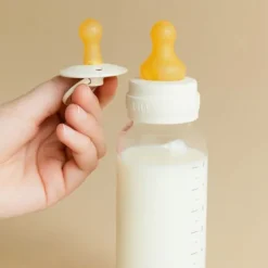 BIBS Flesspeen Rond - Slow Flow - 2 Pack - Latex Best