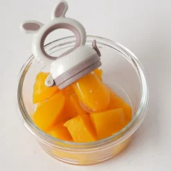 Bo Jungle Fruit Feeder - 4-in-1