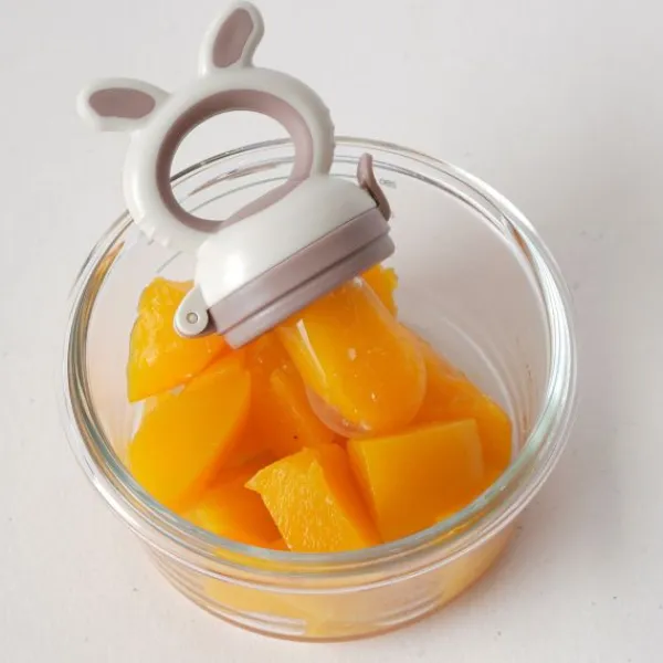 Bo Jungle Fruit Feeder - 4-in-1