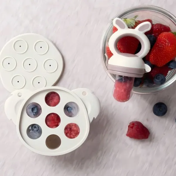 Bo Jungle Fruit Feeder - 4-in-1