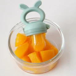 Bo Jungle Fruit Feeder - 4-in-1