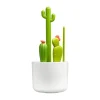 Boon Cactus Flesvoeding Schoonmaakset Hot