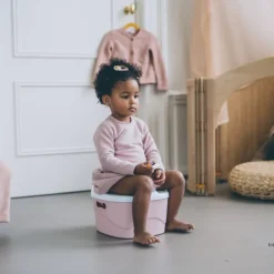 DiaperChamp 3-in-1 Potty - Silver Best