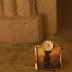 Doing Goods Fotolijstje - Posy Daisy Frame Mini - Messing/Glas New