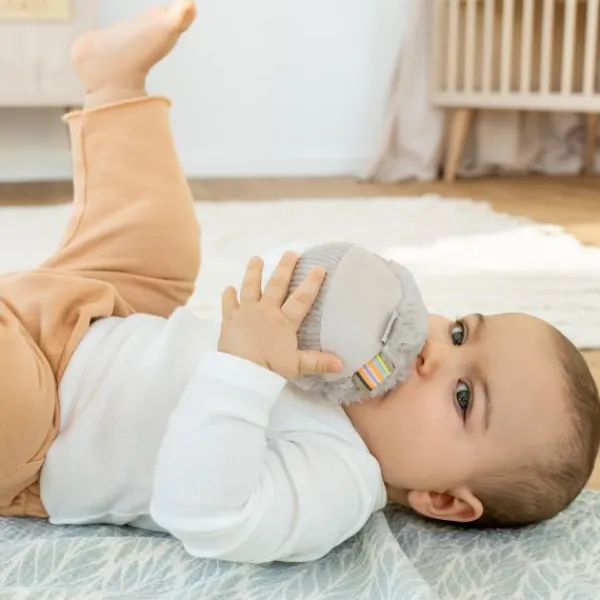 Fehn Rammelaarbal - Luiaard