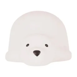 Flow Amsterdam Bjorn Projector