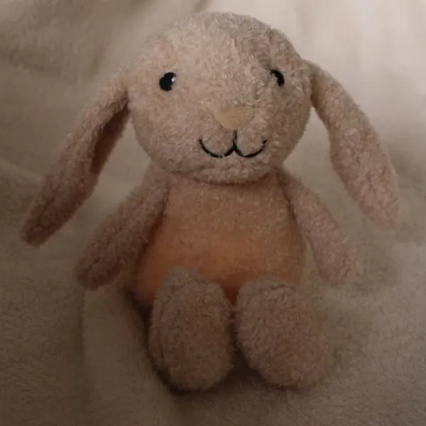 Flow Amsterdam Milo Plush Night Light – Oat Best