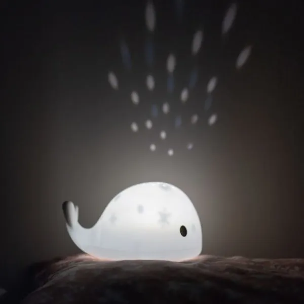 Flow Amsterdam Moby Projector Best