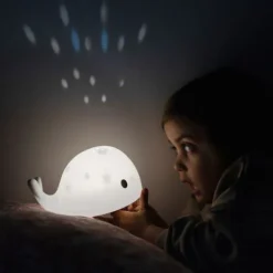 Flow Amsterdam Moby Projector Best