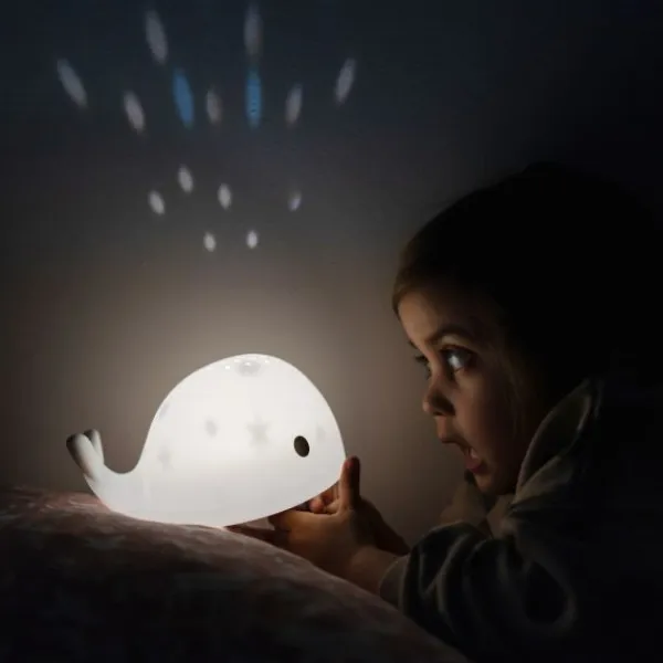 Flow Amsterdam Moby Projector Best