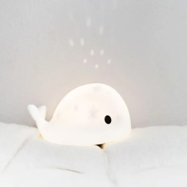 Flow Amsterdam Moby Projector Best