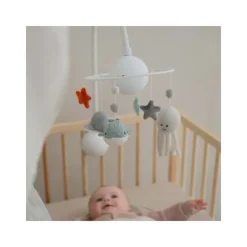 Flow Amsterdam Ocean Muziekmobiel Online