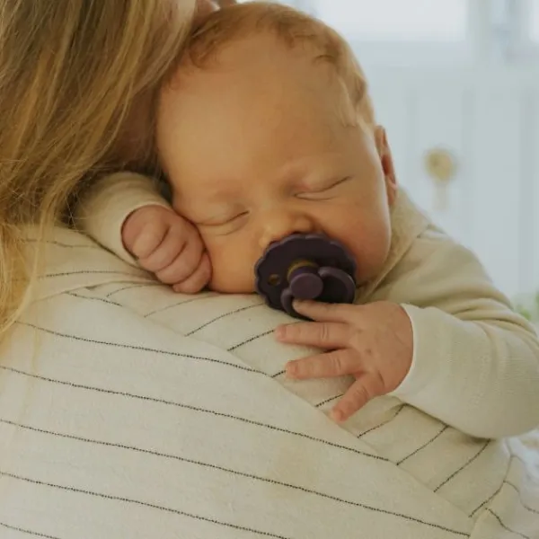 FRIGG Daisy Fopspeen - 0-6 Mnd - 2 Stuks - Violet Dream / Cream Sale