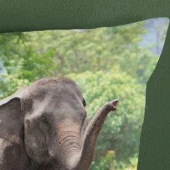 Good Morning Elephants Dekbedovertrek - Green - 140 x 220 cm Hot