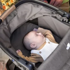 Joie Honour Reiswieg - Thunder Hot