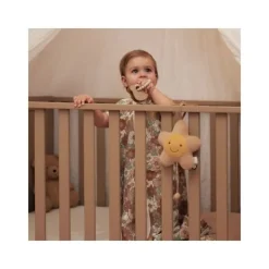 Jollein Teddy Bear Bijtring - Siliconen Online