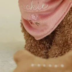 Little Dutch Knuffelhond Jackie In Tas Hot