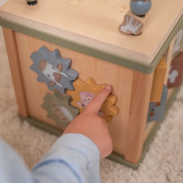 Little Dutch Little Farm Activiteitenkubus Online