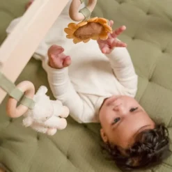 Little Dutch Little Farm Babygym