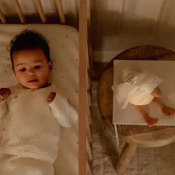 Little Dutch Newborn Knuffelgans Licht & Geluid Clearance