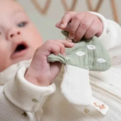 Little Dutch Speendoekje Paddenstoel - Hydrofiel Hot