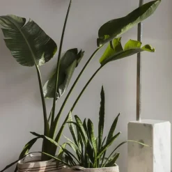 Lorena Canals Twin Opbergmand – Toffee Beige Online