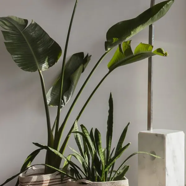 Lorena Canals Twin Opbergmand – Toffee Beige Online