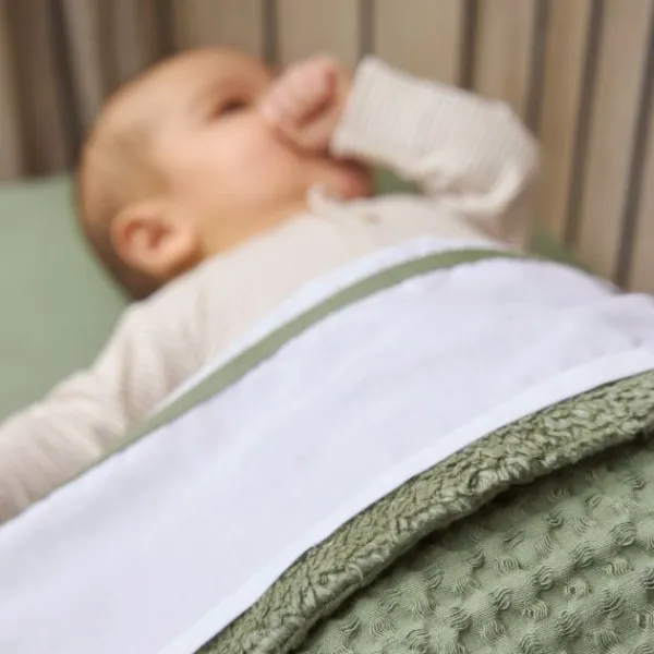 Meyco Wieglaken Wit Met Bies Grijs 75 x 100 cm Online