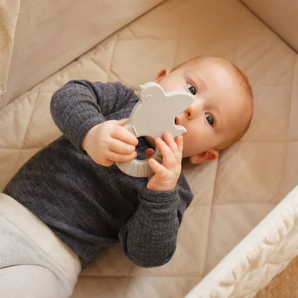 Moonboon Bijtringen - Blue Mix Hot