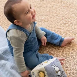 Nijntje Fluffy Activiteitenkubus - Pink Discount