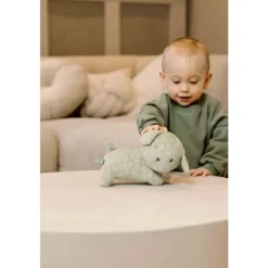 Nijntje Knuffel Snuffie - 25 cm - Green Flower Outlet