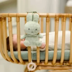 Nijntje Muziekdoosje - Green Flower