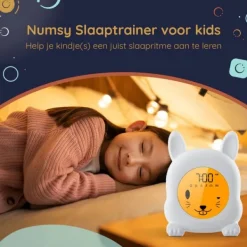 Numsy Slaaptrainer - Binky Online