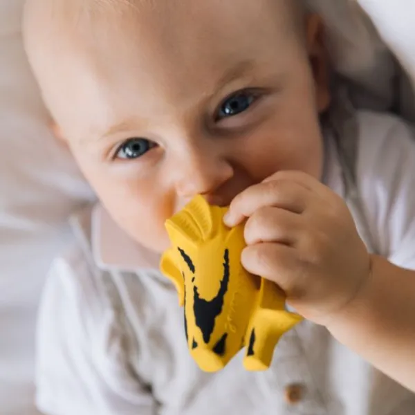 Oli & Carol Bijtspeeltje - Ana Banana Sale