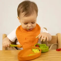 Oli & Carol Cathy The Carrot Plate Set New