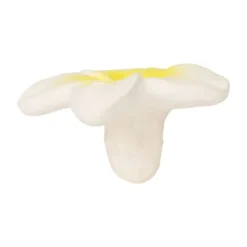 Oli & Carol Hawaï The Flower Bijtspeeltje Outlet