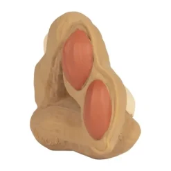 Oli & Carol Paco The Peanut Bijtspeeltje Hot