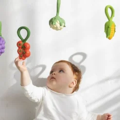 Oli & Carol Rammelaar - Bloemkool New