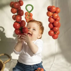 Oli & Carol Rammelaar - Tomaat Outlet