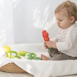 Oli & Carol Rammelaar - Tomaat Outlet