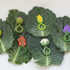 Oli & Carol Rammelaar Bijtspeeltje - Corn Sale