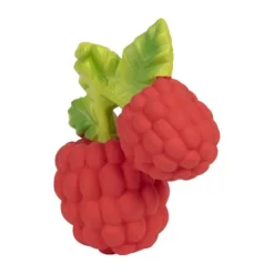 Oli & Carol Valery The Raspberry Bijtspeeltje New