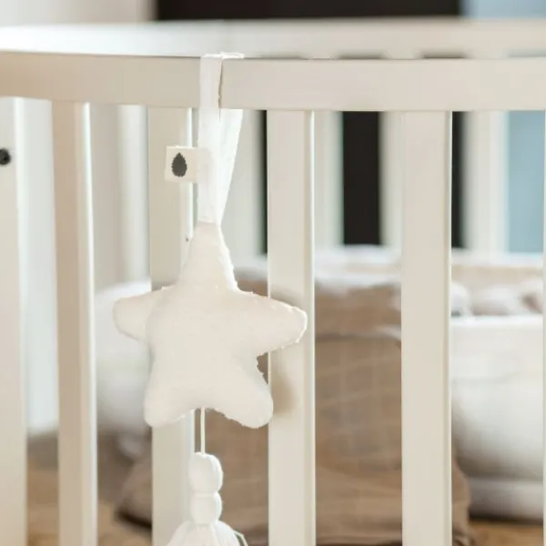 Puck Ronde Box - Oatmeal Outlet