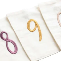 Sebra Slinger - Birthday Bunting - Gifts & Numbers Sale