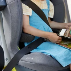 Swandoo Charlie Armsteunen - Chia Black Sale