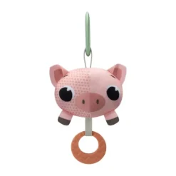 Tiny Love Farmers Funday Speelkleed New