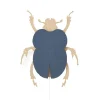 Van Tjalle en Jasper Beetle Muurlamp - Naturel / Blue Best