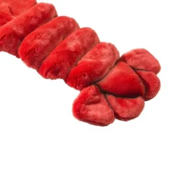 Wild & Soft Dierenkostuum - Kreeft Clearance